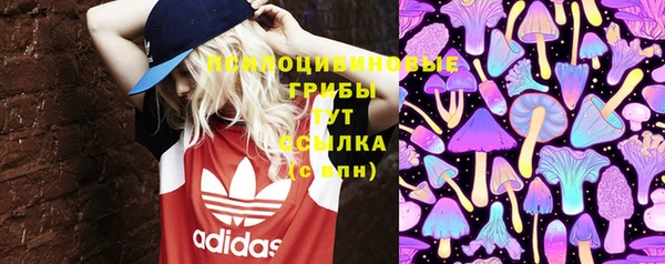 винт Абинск
