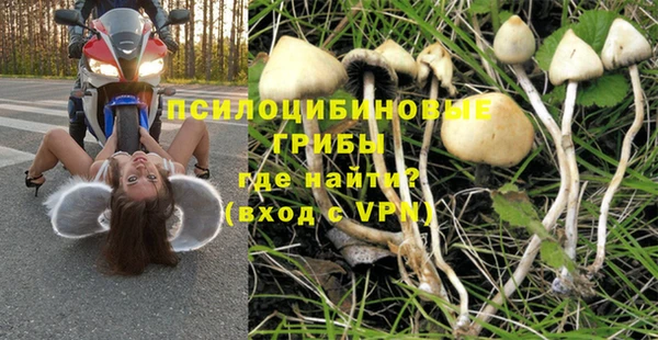 твердый Абаза